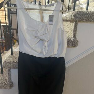 LOFT Black and White Midi Dress